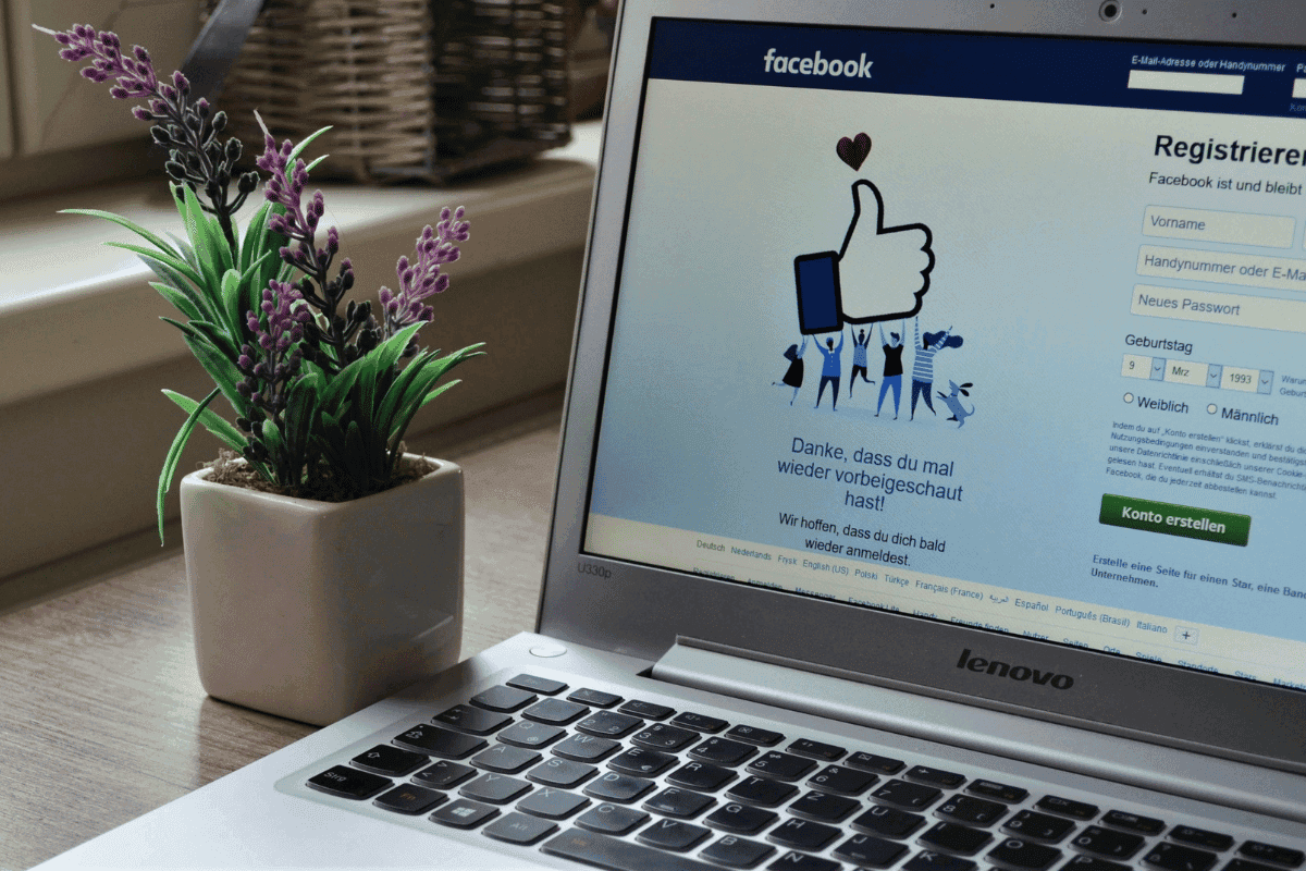 Laptop mit geöffneter Facebook-Startseite neben einem Blumentopf auf einem Schreibtisch